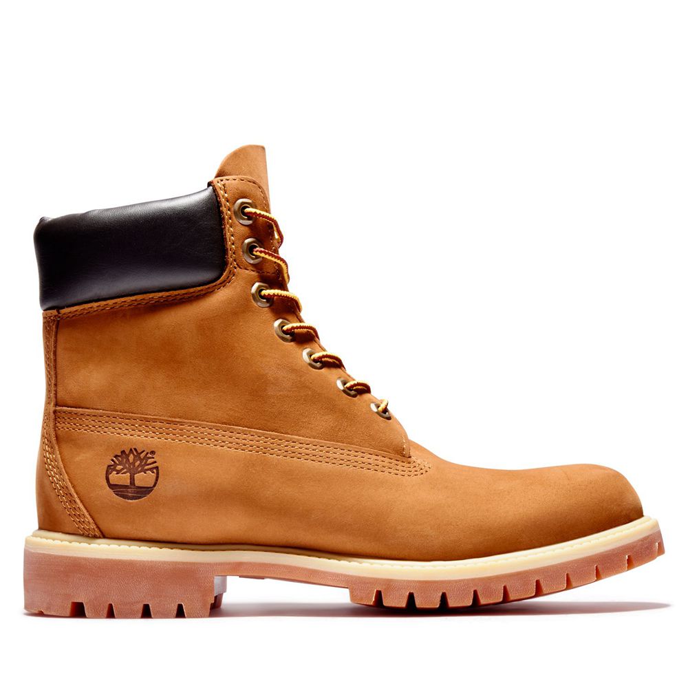 Botas de Nieve Timberland Argentina Hombre - 6-Inch Premium Waterproof - Marrones - NZTSPO-586